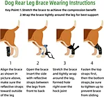 Dog elbow brace
