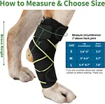 Dog leg brace front